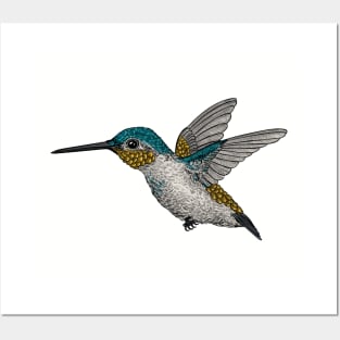 Hummingbird 4 Posters and Art